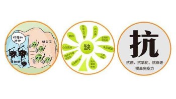 三级片香蕉视频廠家分析哪些微量元素能防癌